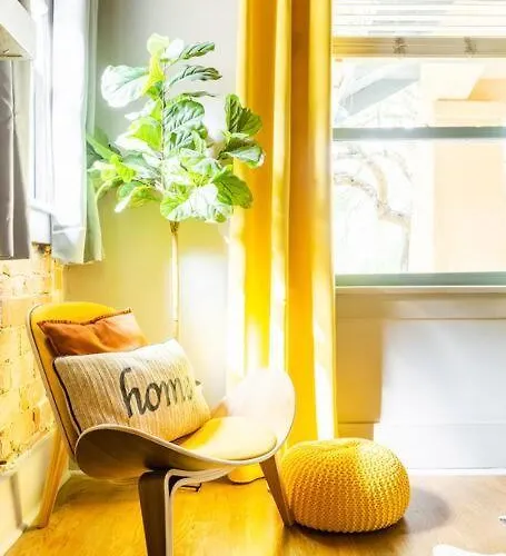 Happy Cactus Walkable 2br By Uofa And Parking Tucson